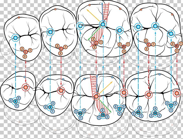 Illustration Line Point Product PNG, Clipart, Area, Art, Circle, Line, Occlusion Free PNG Download