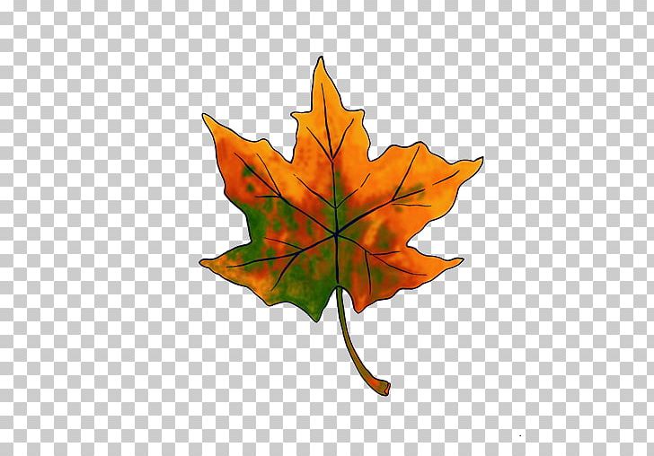 Maple Leaf Deciduous PNG, Clipart, Computer Icons, Deciduous, Download, Encapsulated Postscript, Leaf Free PNG Download