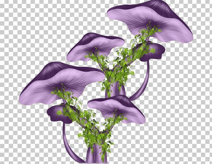 Cut Flowers Drawing Floral Design Petal PNG, Clipart, Champignon, Cut Flowers, Drawing, Flora, Floral Design Free PNG Download