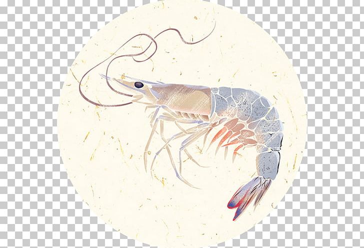 Seafood Lo Mein Prawn Fried Noodles Caridea PNG, Clipart, Animal, Animals, Aquatic Products, Caridea, Cartoon Free PNG Download