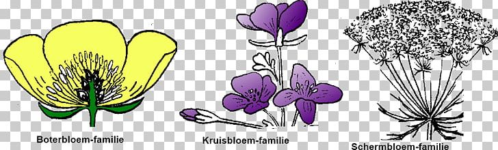 Tulip Cut Flowers Petal PNG, Clipart, Art, Cut Flowers, Fig Printing, Flora, Flower Free PNG Download