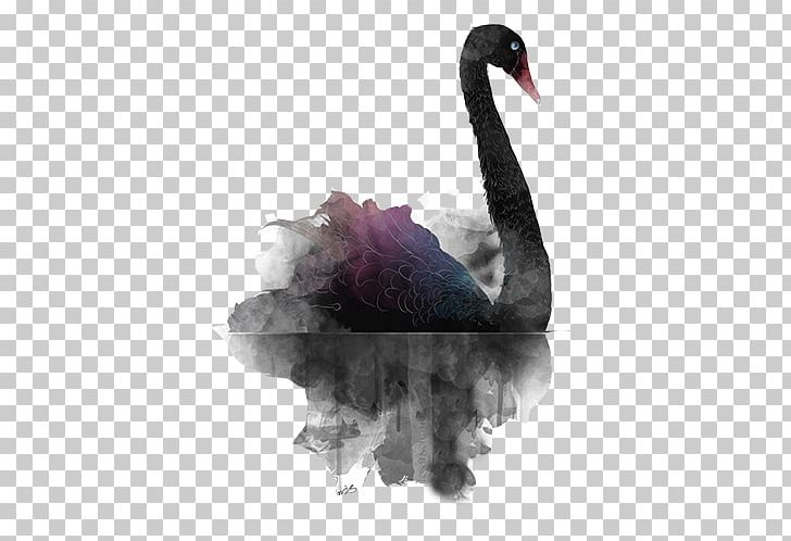 Black Swan Theory PNG, Clipart, Adobe Illustrator, Background Black, Beak, Bird, Black Free PNG Download