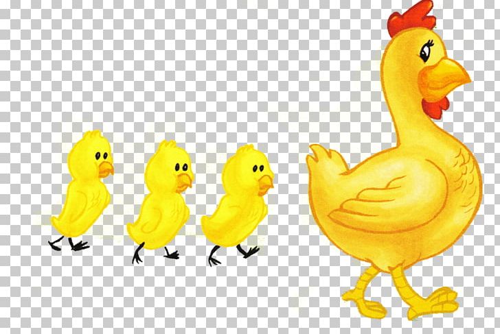 Chicken Drawing Rooster Painting PNG, Clipart, Animal Figure, Animals, Beak, Bird, Chicken Free PNG Download