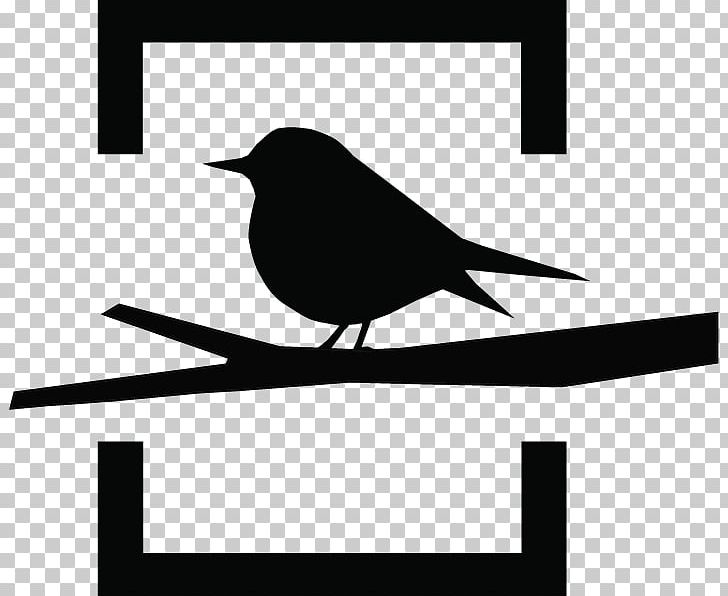 Bird Beak Cyprus Wheatear Silhouette PNG, Clipart, Afghanistan, Albania, Angola, Animals, Barred Eagleowl Free PNG Download