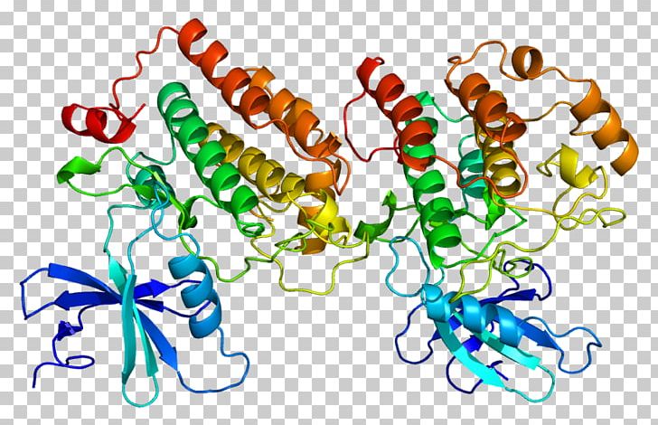 Casein Kinase 1 K-Casein Protein CSNK1D PNG, Clipart, 1 D, 1 E, Artwork, Casein, Casein Kinase 1 Free PNG Download