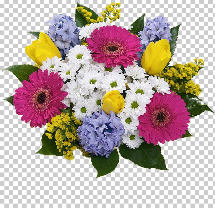 Floral Design Cut Flowers Transvaal Daisy Chrysanthemum PNG, Clipart, Annual Plant, Aster, Chrysanthemum, Chrysanths, Cut Flowers Free PNG Download