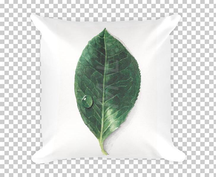Leaf PNG, Clipart, Green, Green Pillow, Leaf, Plant Free PNG Download