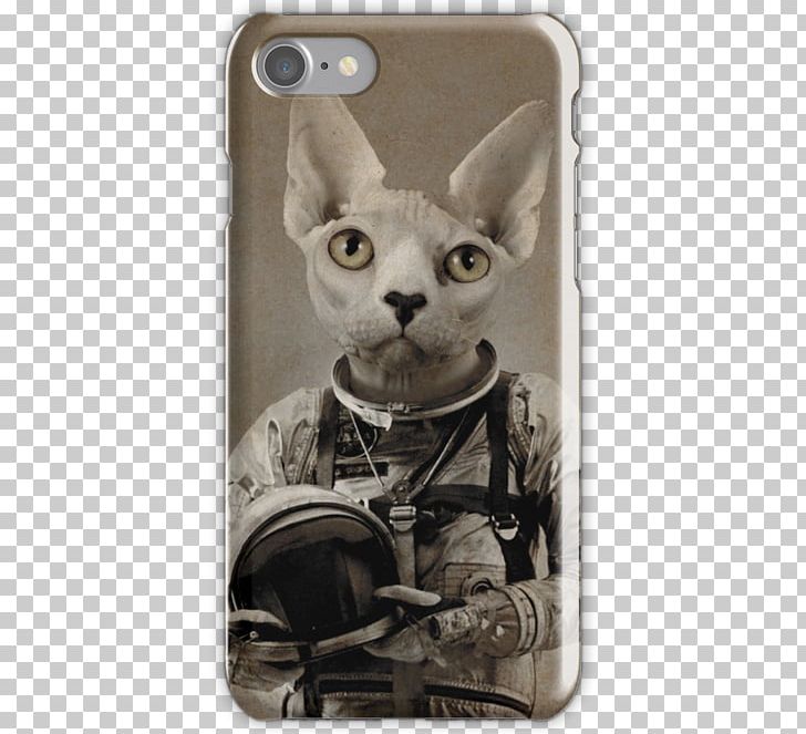 Whiskers Devon Rex Kitten Tiger Art PNG, Clipart, Animal, Animals, Art, Astronaut, Cat Free PNG Download