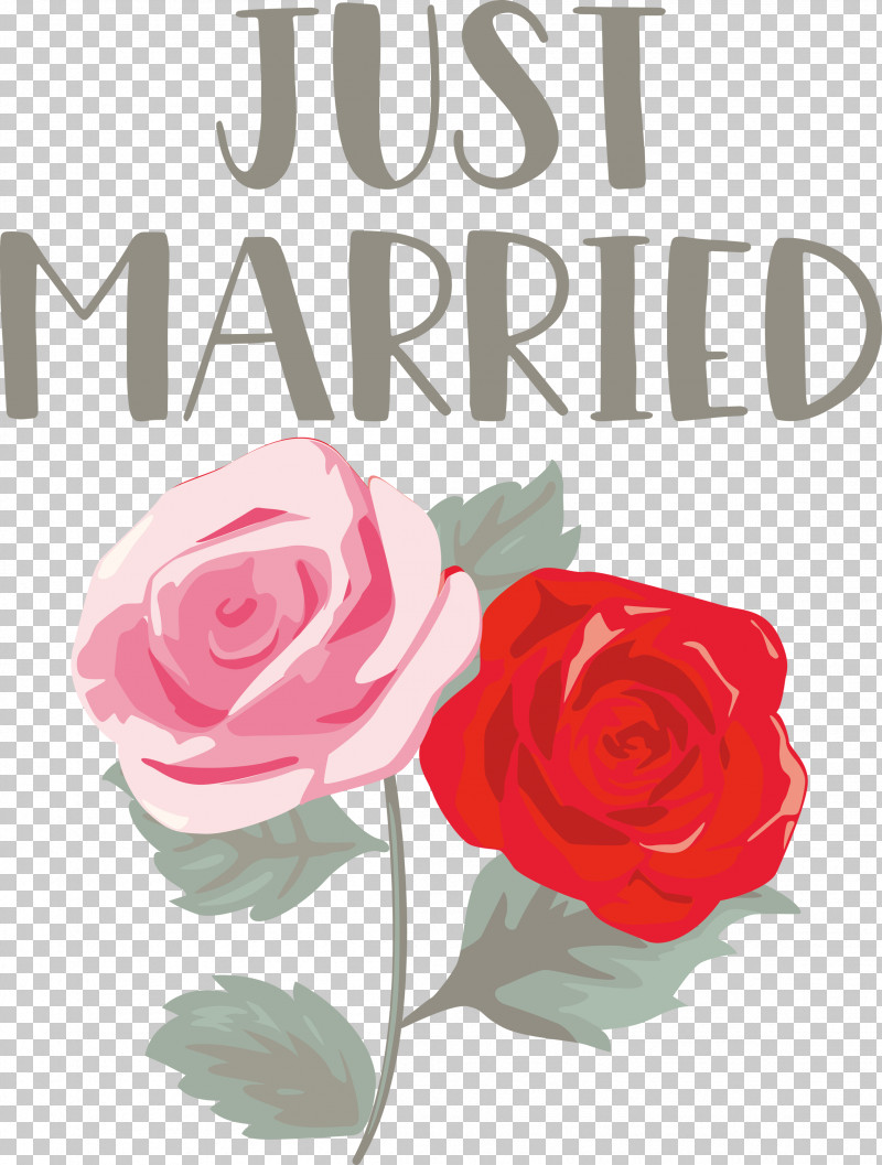 Just Married Wedding PNG, Clipart, Blue Rose, Cabbage Rose, Cut Flowers, Floral Design, Flower Free PNG Download