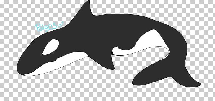 Cat Dolphin Killer Whale Shark PNG, Clipart, Animals, Black, Black And White, Black M, Carnivoran Free PNG Download