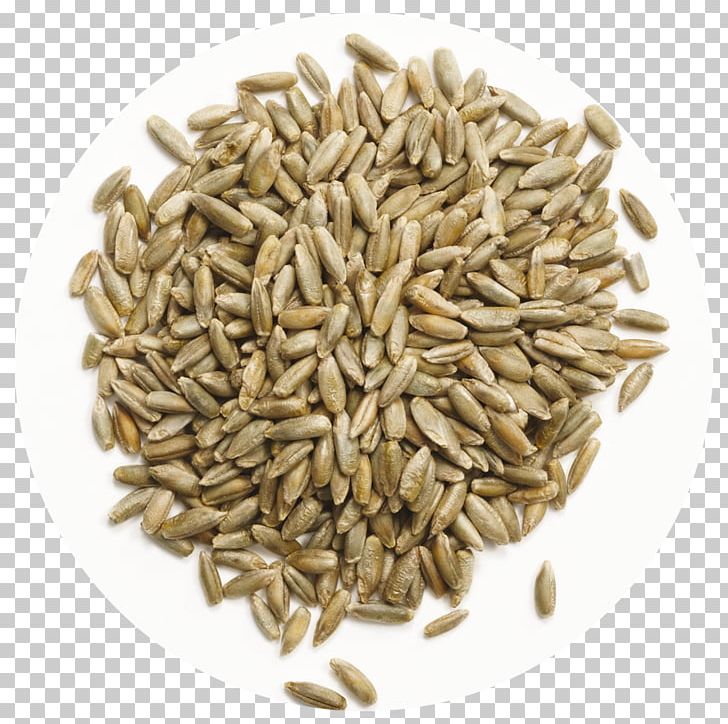 Cumin Spice Seed Dill Coriander PNG, Clipart, Avena, Cereal, Cereal Germ, Chili Powder, Commodity Free PNG Download