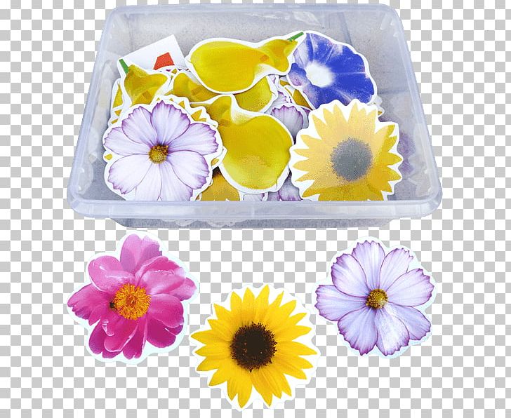 Petal Floristry Violet Cut Flowers PNG, Clipart, Cut Flowers, Family, Floristry, Flower, Flowering Plant Free PNG Download