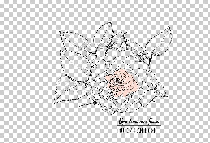 Rose Valley PNG, Clipart, Area, Art, Artwork, Astringent, Cosmetics Free PNG Download