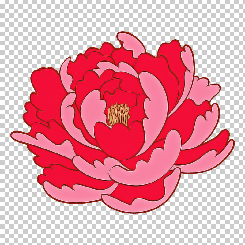 Pink Petal Flower Red Plant PNG, Clipart, Aquatic Plant, Flower, Lotus Family, Magenta, Petal Free PNG Download