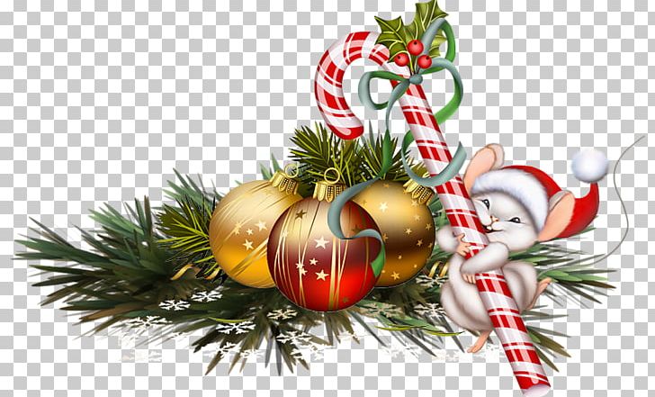 Candy Cane Santa Claus Christmas Ornament PNG, Clipart,  Free PNG Download