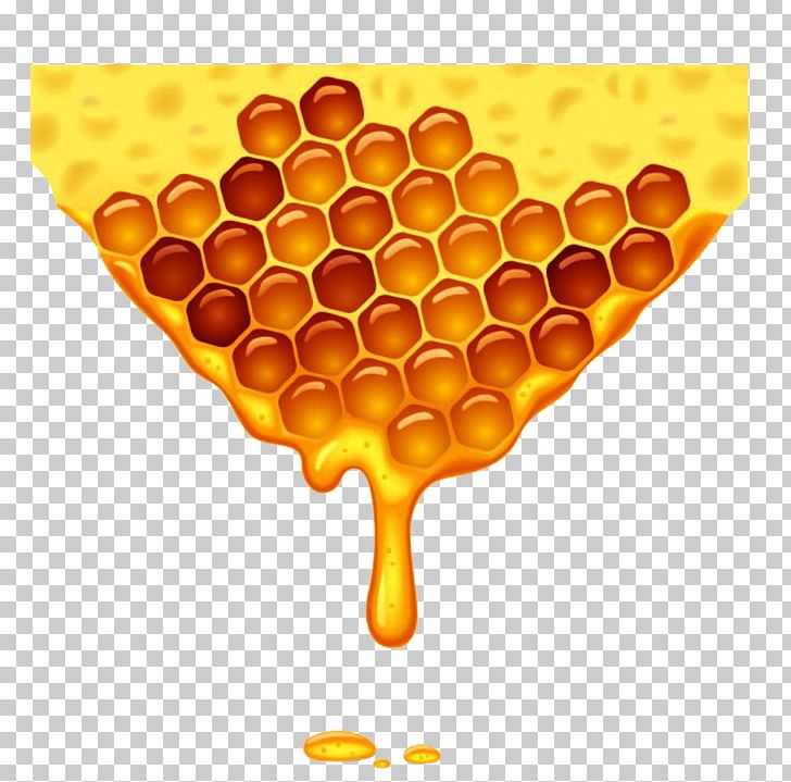 Honey Bee Honeycomb PNG, Clipart, Bee, Beehive, Beekeeping, Bees, Cartoon Free PNG Download