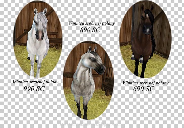 Star Stable Mustang Halter Mare Stallion PNG, Clipart, Bridle, Fauna, Foal, Halter, Horse Free PNG Download