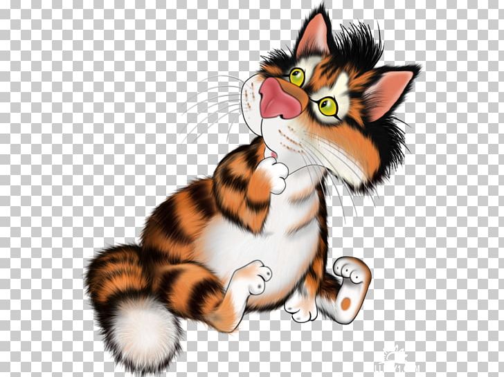 Whiskers Kitten Tiger Cat Paw PNG, Clipart, Animals, Big Cat, Big Cats, Carnivoran, Cat Free PNG Download