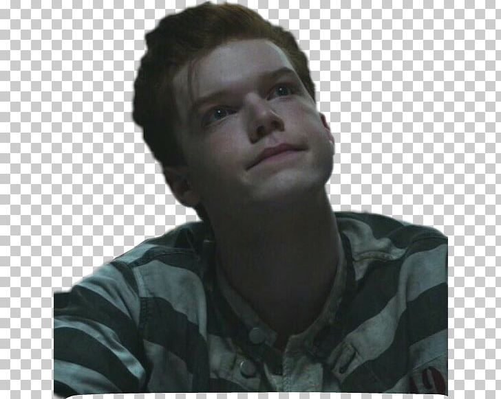 Cameron Monaghan Gotham Portable Network Graphics PicsArt Photo Studio PNG, Clipart, Cameron Monaghan, Chin, Face, Facial Hair, Forehead Free PNG Download