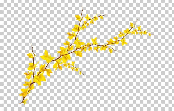 Leaf Twig Encapsulated PostScript PNG, Clipart, Branch, Download, Encapsulated Postscript, Flower, Forsythia Free PNG Download