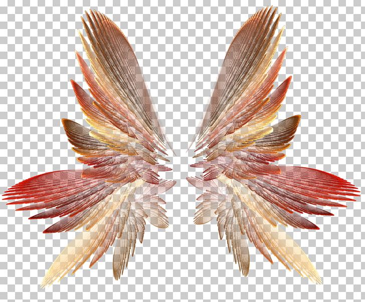 Wing PNG, Clipart, Computer Software, Download, Encapsulated Postscript, Fantasy, Feather Free PNG Download
