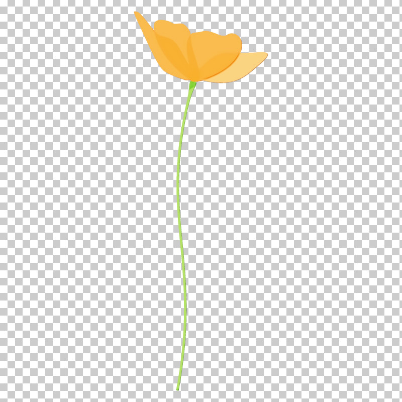 Orange PNG, Clipart, Flower, Leaf, Orange, Paint, Pedicel Free PNG Download