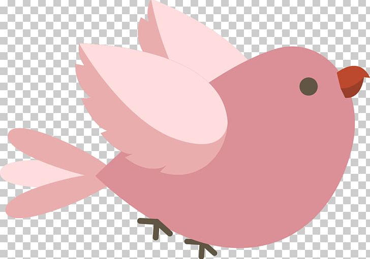 Illustration Beak Pink M Snout PNG, Clipart, Beak, Bird, Cartoon, Chicken, Chicken As Food Free PNG Download