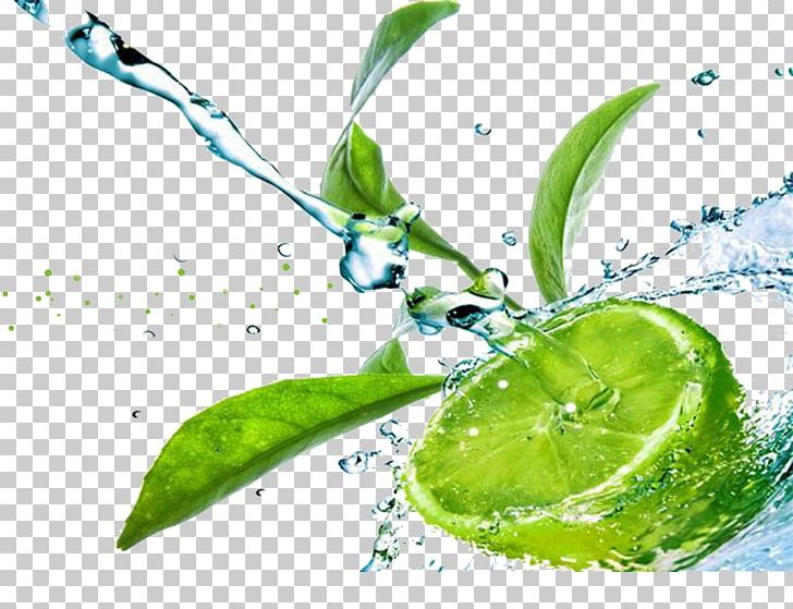 Lemon Juice Limeade Water PNG, Clipart, Citrus, Computer Wallpaper, Cool, Drink, Drops Free PNG Download