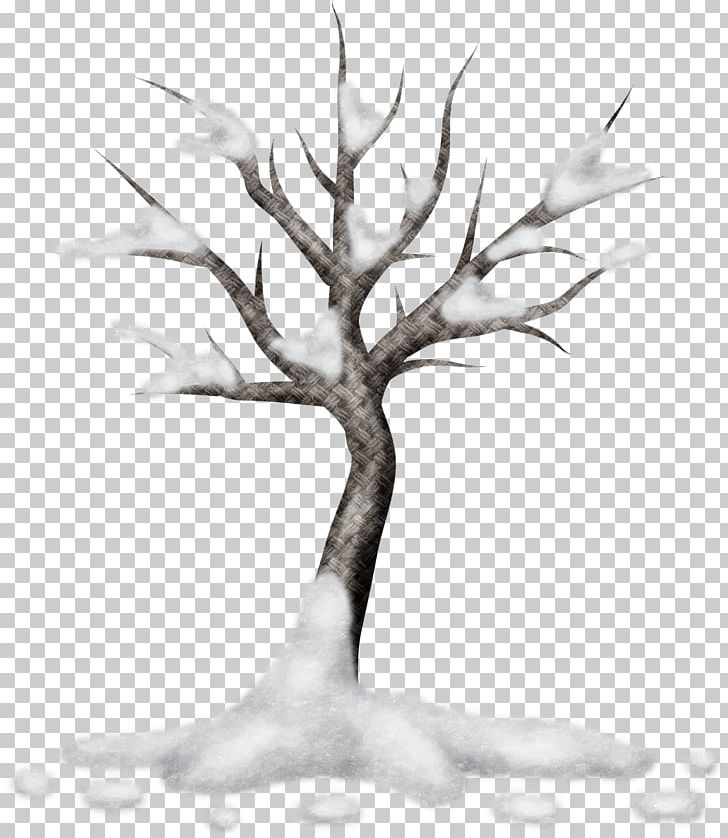 Tree Branch Woody Plant Twig PNG, Clipart, Black And White, Branch, Drawing, Game, Monochrome Free PNG Download