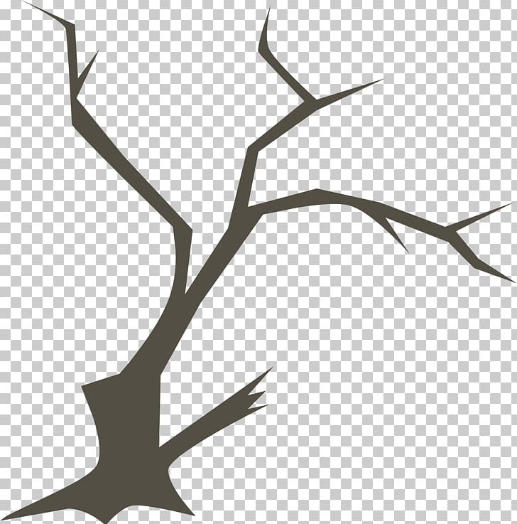 Branch Tree Twig PNG, Clipart, Angle, Black And White, Branch, Chart, Diagram Free PNG Download