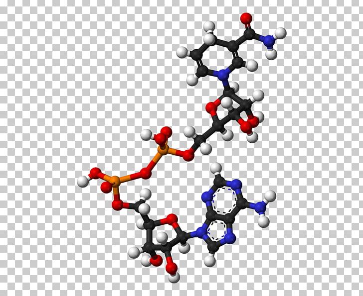 Nicotinamide Adenine Dinucleotide Phosphate Adenosine Triphosphate Molecule PNG, Clipart, 3 D, Adenine, Adenosine, Chemical Reaction, Flavin Adenine Dinucleotide Free PNG Download