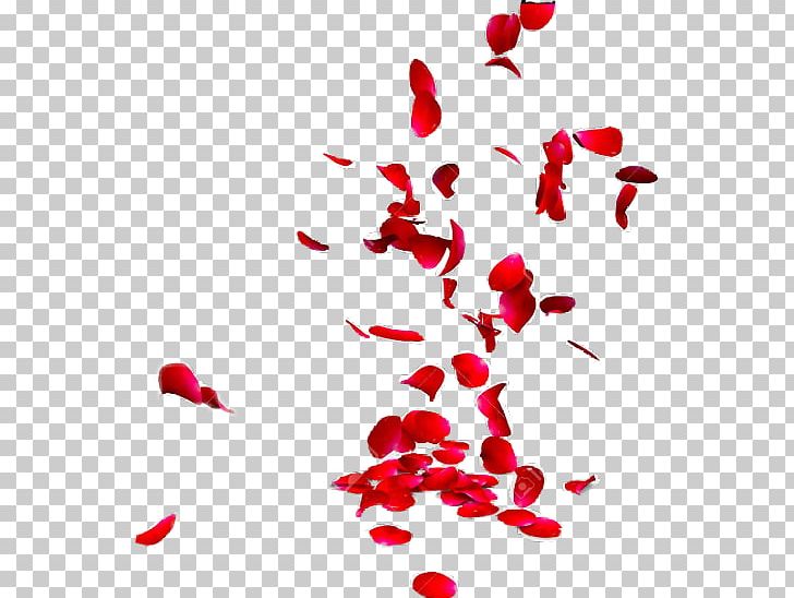 Stock Photography Rose Petal PNG, Clipart, Clip Art, Drawing, Fall, Flower, Flowers Free PNG Download