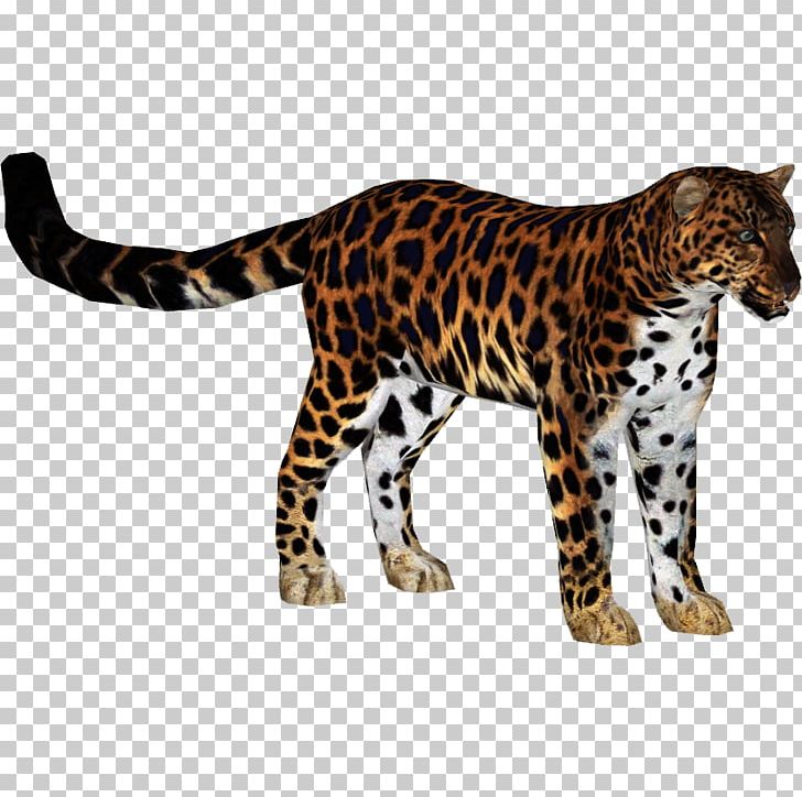 Zoo Tycoon 2 Jaguar Tiger Amur Leopard Felidae PNG, Clipart, Amur Leopard, Animal, Animal Figure, Animals, Big Cat Free PNG Download