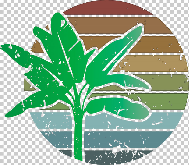 Summer Palm PNG, Clipart, 3d Computer Graphics, Drawing, Green, Leaf, Music Download Free PNG Download