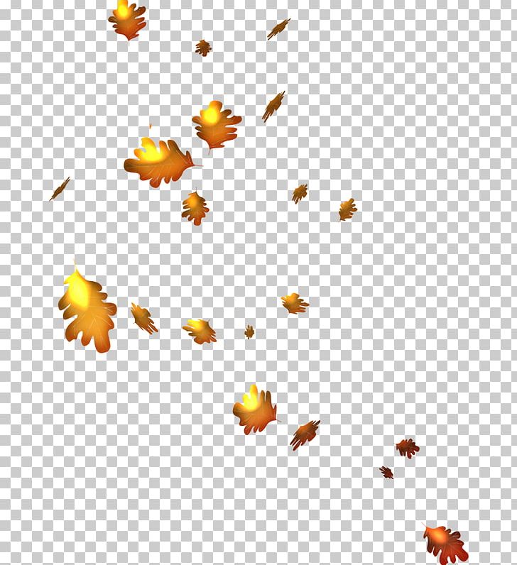 Autumn Leaves PNG, Clipart, Animaatio, Branch, Com, Computer Wallpaper, Desktop Wallpaper Free PNG Download