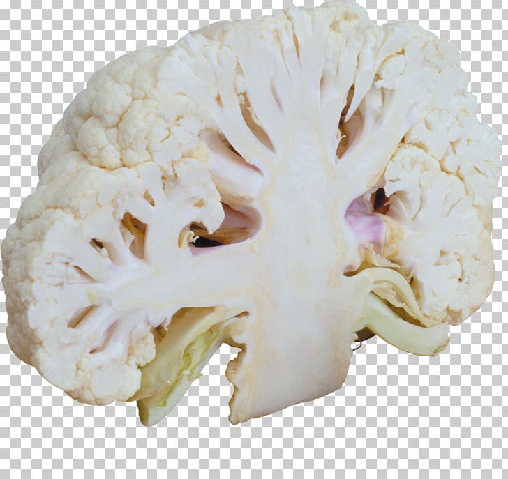 Cauliflower Broccoli Cabbage Vegetable Food PNG, Clipart, Broccoli, Brussels Sprout, Cabbage, Cartoon Cauliflower, Cauliflower Free PNG Download