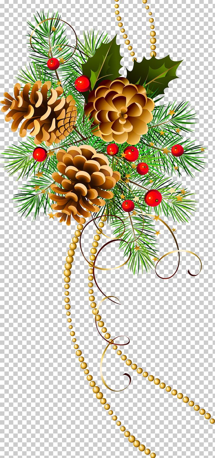 Christmas Tree Pine Conifer Cone PNG, Clipart, Branch, Christmas, Christmas Decoration, Christmas Ornament, Christmas Tree Free PNG Download