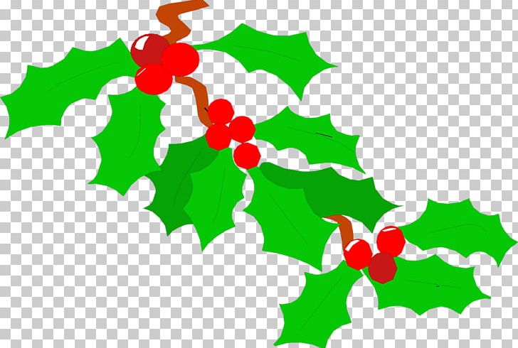 Common Holly PNG, Clipart, Aquifoliaceae, Blog, Branch, Christmas, Christmas Leaves Cliparts Free PNG Download