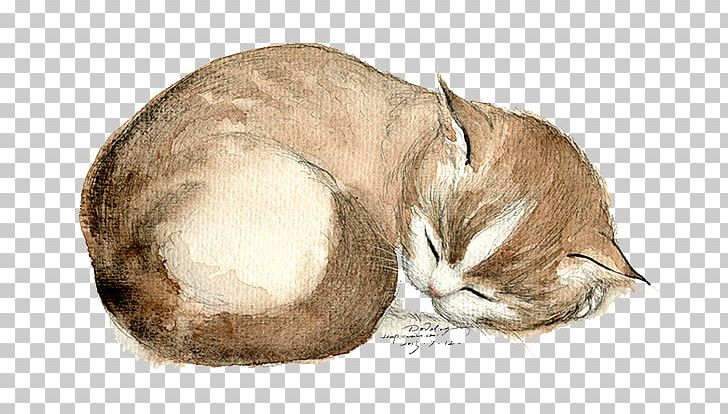Domestic Short-haired Cat Whiskers Kitten PNG, Clipart, Animal, Animals, Carnivoran, Cartoon, Cat Free PNG Download