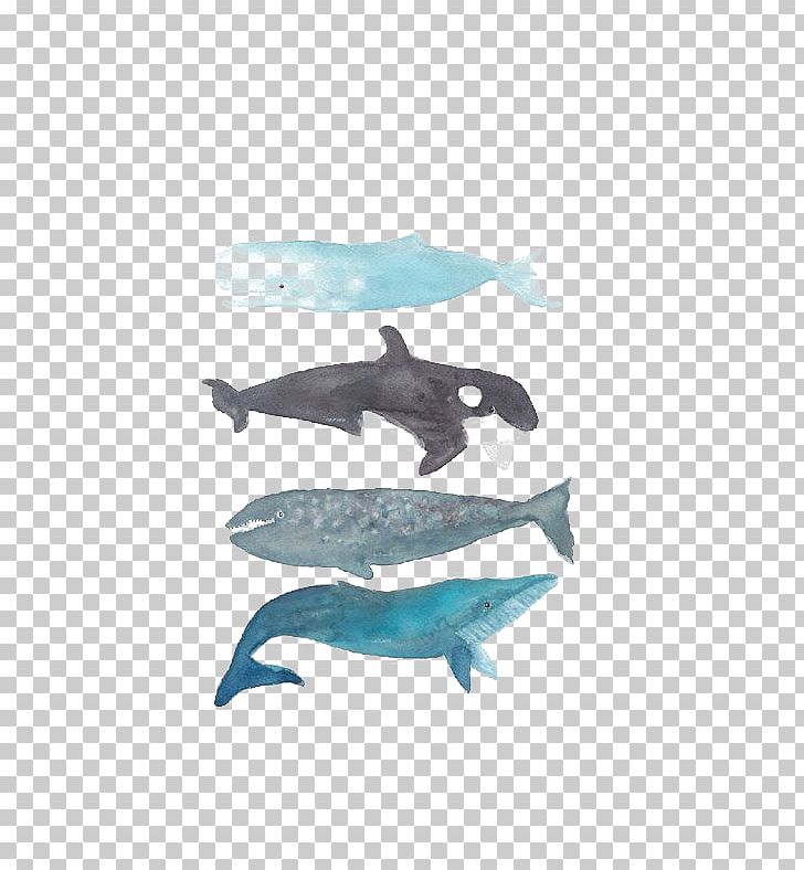 Killer Whale Humpback Whale Printmaking Baleen Whale PNG, Clipart, Animal, Animals, Aqua, Art, Blue Free PNG Download
