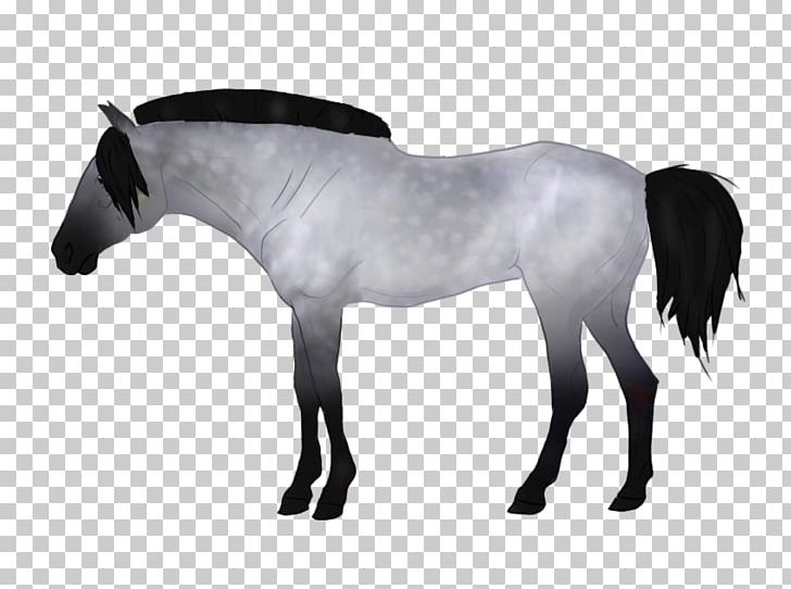Mustang Stallion Mare Rein Halter PNG, Clipart,  Free PNG Download