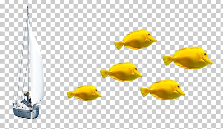 Oranda Fish Yellow PNG, Clipart, Android, Animal, Aquarium Fish, Clownfish, Designer Free PNG Download