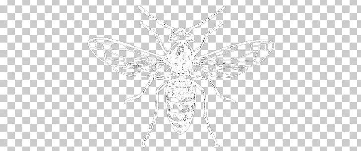 Butterfly Insect Wing Line Art Sketch PNG, Clipart, Apiary, Artwork, Bee, Black And White, Body Jewellery Free PNG Download