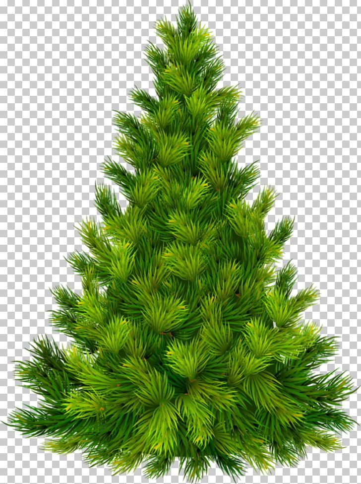 Christmas Tree Christmas And Holiday Season Christmas Eve PNG, Clipart, Advent, Advent Sunday, Biome, Boxing Day, Christmas Free PNG Download