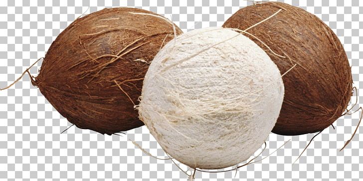 Coconut PNG, Clipart, Coconut, Free, Fruits Free PNG Download