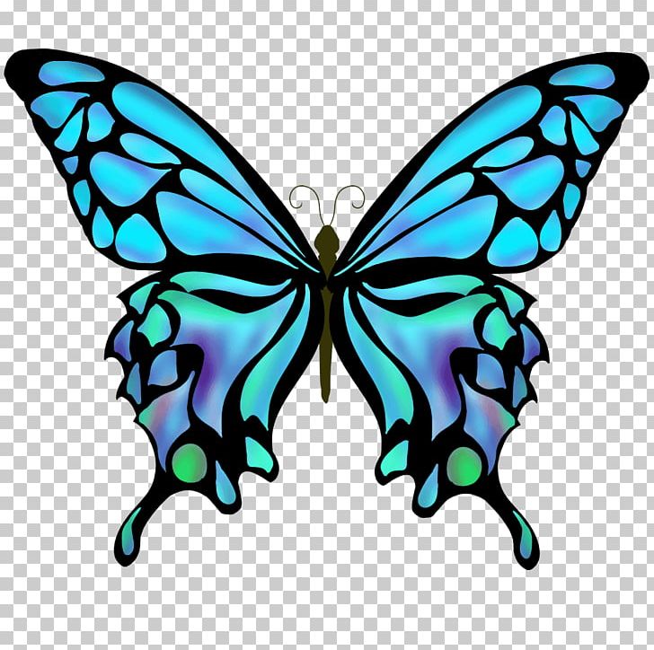 Swallowtail Butterfly Drawing Color PNG, Clipart, Art, Artwork, Brush Footed Butterfly, Butterflies And Moths, Butterfly Free PNG Download