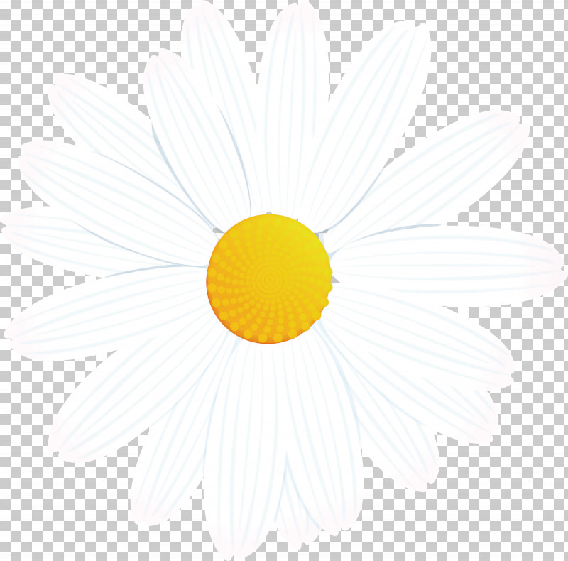 Marguerite Flower Spring Flower PNG, Clipart, Circle, Eye, Fried Egg, Logo, Marguerite Flower Free PNG Download