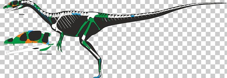 Dracoraptor Ceratosaurus Dinosaur Skeleton Jurassic PNG, Clipart, Beak, Carnivore, Ceratosaurus, Dinosaur, Fantasy Free PNG Download