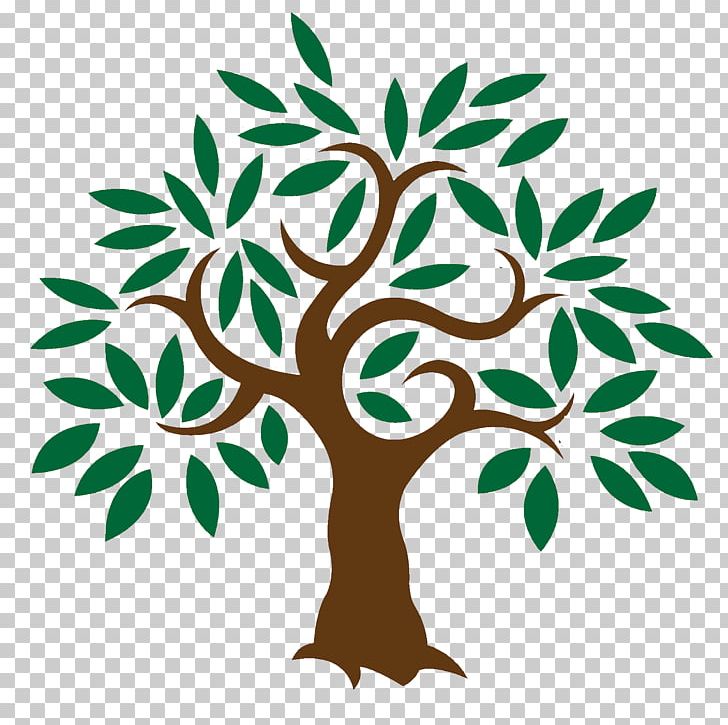 Olive Learn About Trees PNG, Clipart, Artwork, Branch, Clip Art, Flora, Flower Free PNG Download