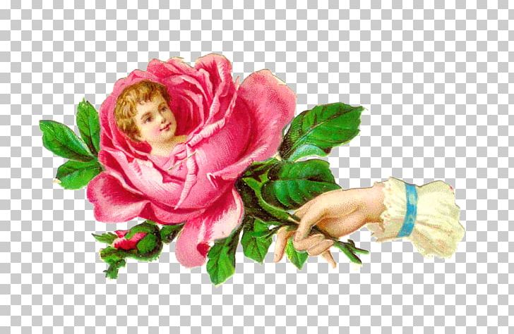 Victorian Era Poetry Of Flowers Rose PNG, Clipart, Artificial Flower, Cut Flowers, Desktop Wallpaper, Floral Design, Floristry Free PNG Download